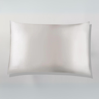 Snugbio™ Silk Pillow Case (2 Pack)